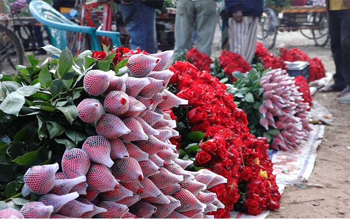ফুলে ফুলে ভরা যশোরের গদখালী বাজার